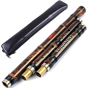 OrientalMusicSanctuary Professional Double Jointed (3 Section) Purple Bamboo Dong Xiao - Chinese Shakuhachi Xiao Flute