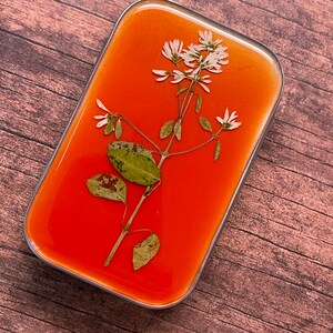 Decorative Tin, Rice Flowers, Resin, Color Changing, Orange, Yellow, Pressed Flowers, Altoid-size, White Flowers, Sewing Kit, Jewelry Case image 1