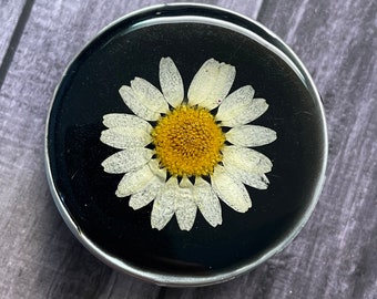 Round Pill Box, Daisy, White Flower, Resin, Black, Pressed Flower, Storage, Tin Case, Vitamins, Jewelry case, Botanical, Teacher Gift