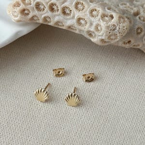 May include: A pair of gold stud earrings shaped like small seashells, each featuring a textured fan design with vertical ridges. The earrings are accompanied by two matching gold butterfly-style earring backs, positioned separately from the studs.