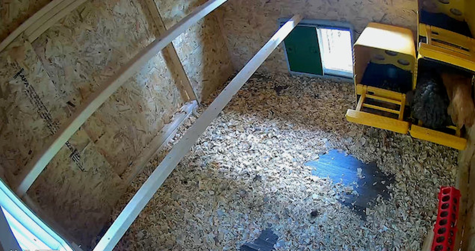 Chicken Coop Plans PDF Easy 6X6 DIY Chicken Coop Etsy Canada