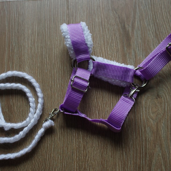 Halter for hobby horse with lead