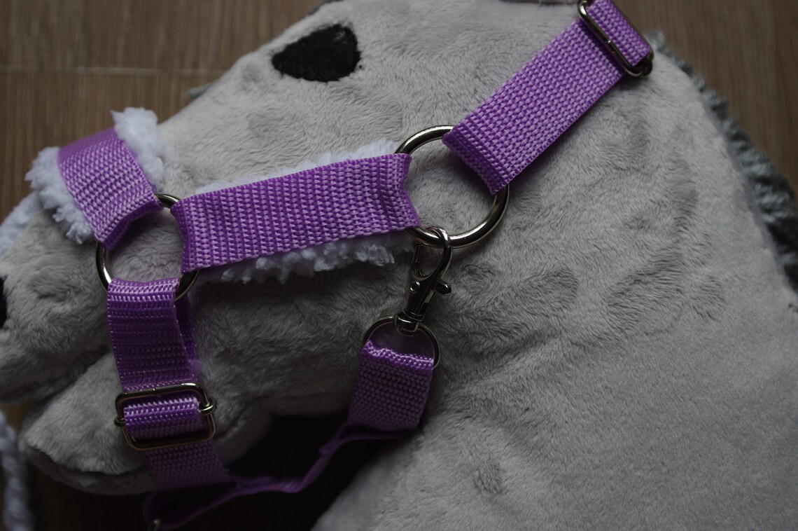 Halter for hobby horse with lead Etsy