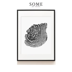 Tree Ring Print .  Rustic Wood Prints . Tree Ring Wall Art . Black and White Prints . Tree Ring Art Print . Tree Stump Prints . SAP-AA0197