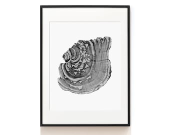 Tree Ring Print .  Rustic Wood Prints . Tree Ring Wall Art . Black and White Prints . Tree Ring Art Print . Tree Stump Prints . SAP-AA0197