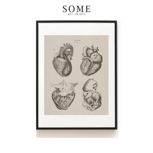 Human Heart Print . Anatomy Wall Art . Cardiothoracic Surgeon Gift . Heart Anatomy . Vintage Science Illustration . SAP-AA0053
