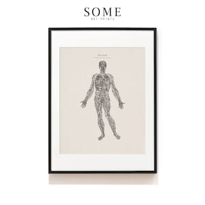 Cardiovascular System Art Print . Anatomy Illustration . Medical Science Print . Human Blood Vessels Poster . Cardiac Surgeon SAP-AA0041