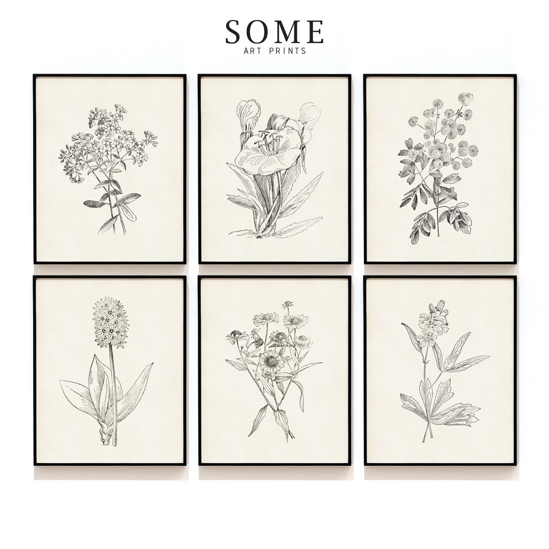 Botanical Print Set of 6 . Antique Flowers Art Prints . Vintage ...