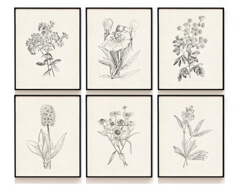 Botanical Print Set of 6 . Antique Flowers Art Prints . Vintage Farmhouse Wall Decor . Botanical Sketch Prints . SAP-DS6-0004