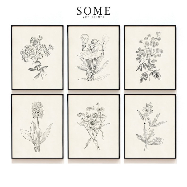 Botanical Print Set of 6 . Antique Flowers Art Prints . Vintage ...