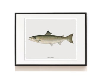 Coastal Art Prints . Atlantic Salmon Print . Kitchen Wall Decor . Fishing Angling Gift . Beach House Art . Restaurant Decor . SAP-AA0077