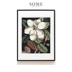 Vintage Magnolia Print . Botanical Magnolia Art Print . Antique Flower Print . Laurel Tree Illustration . Botanical Giclée . SAP-AA0115