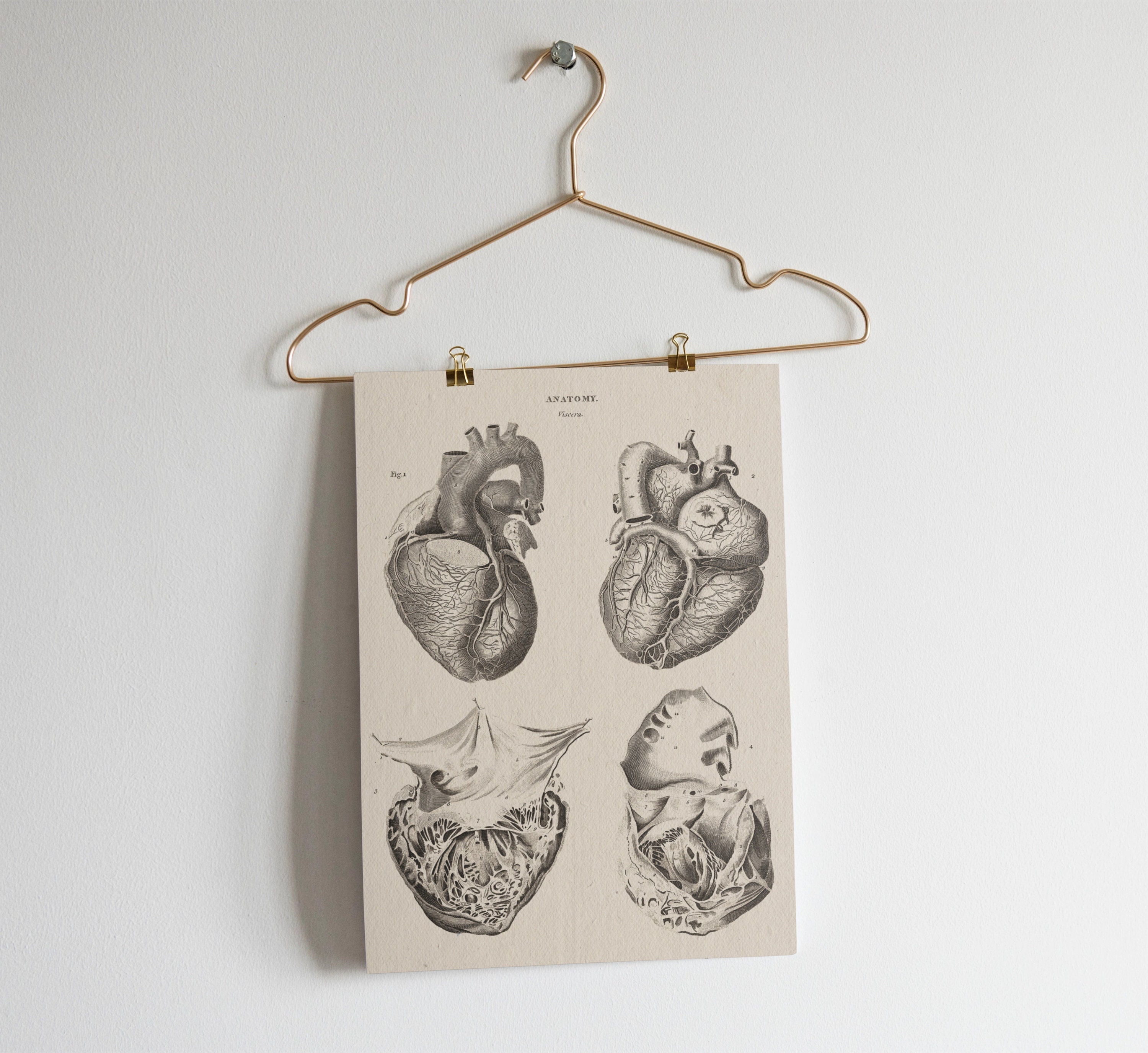 Human Heart Print . Anatomy Wall Art . Cardiothoracic Surgeon Gift ...