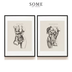 Weiblicher Körper Anatomie Kunstdruck 2er Set. Anatomie des Menschen . Männliche Körper Anatomie Illustration. Chirurg Geschenk. Medizinische Kunst. -SAP-DS2-0007