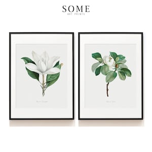Magnolia Print Set . Botanical Print Set . White Flower Art Print Set SAP . -DS2-0002 . 117 . 118