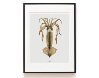 Squid Wall Art . Squid Print . Marine Art Print . Nautical Print . Coastal Wall Decor . Beach House Art . Bath Art . SAP-AA0068