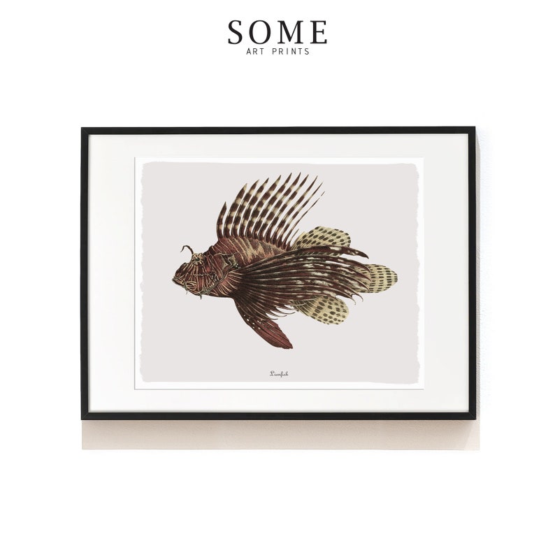 May include: A framed print of a detailed illustration of a lionfish with brown, red, and white markings. The print is on a light gray background and has the word "Lionfish" written in cursive at the bottom.