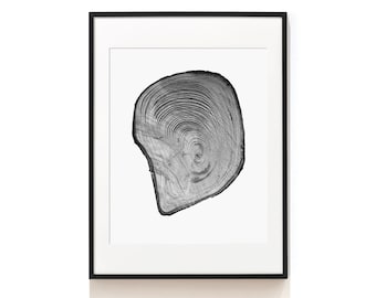 Tree Ring Prints .  Nature Wood Art . Tree Ring Wall Art . Black and White Art . Tree Ring Art Print . Tree Stump Art Prints . SAP-AA0198