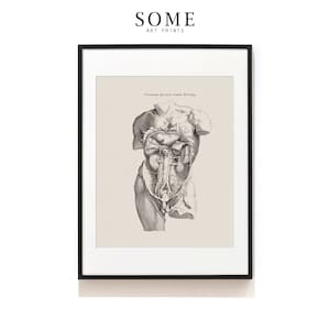 Anatomy Art Print . Human Anatomy . Vintage Anatomy Illustration . Medical Art . Male Body Anatomy . Surgeon Gift . SAP-AA0034
