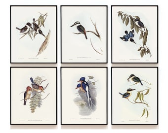 Puede incluir: Seis láminas artísticas enmarcadas con ilustraciones de aves vintage. Cada lámina muestra una especie de ave diferente posada en ramas con hojas. Las láminas están en marcos negros, y el texto "SOME ART PRINTS" está en la parte superior.