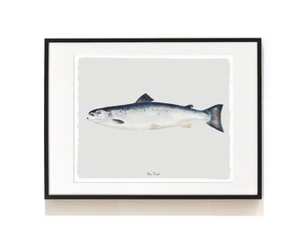 Sea Trout Art Print . Kitchen Art Print . Nautical Print . Fishing Gift . Beach House Art . Restaurant Wall Decor . Fish Print . SAP-AA0079