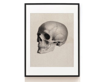 Anatomia Art Print . Dekoracja ścienna z czaszką . Anatomia człowieka Sztuka ścienna . Vintage Human Skull Art Print . Prezent dla chirurga głowy . Wydruk czaszki . SAP-AA0052