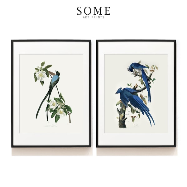 Audubon Birds Print Set of 2 . Vintage Blue Bird Art Prints . Bird Lover Gift . Botanical Prints . Bird Print Set . SAP-DS2-0003 . 140 . 141