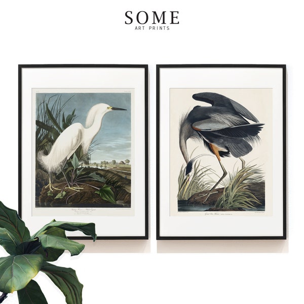 Snowy Heron . Vintage Bird Print Set . Audubon Bird Posters . Great Blue Heron Print . Birds Lovers Gift . SAP-DS2-0012 .  233 . 237