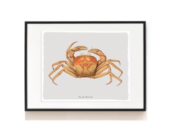 Crab Wall Decor . Deep-Sea Red Crab Print . Kitchen Wall Decor . Fish Prints . Restaurant Decor . Shellfish Art Print . SAP-AA0080