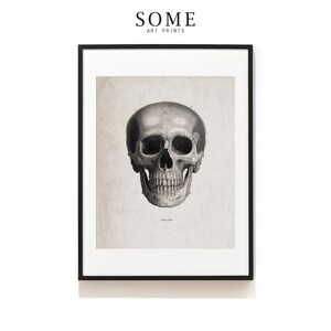Skull Art Print . Skull Wall Art . Human Anatomy . Vintage Human Skull Illustration . Head Surgeon Gift . Halloween Décor . SAP-AA0033