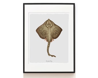 Vintage Thornback Ray Print . Nautical Print . Fish Art . Coastal Wall Decor . Beach House Art . Bath Art . Stingray Print . SAP-AA0067