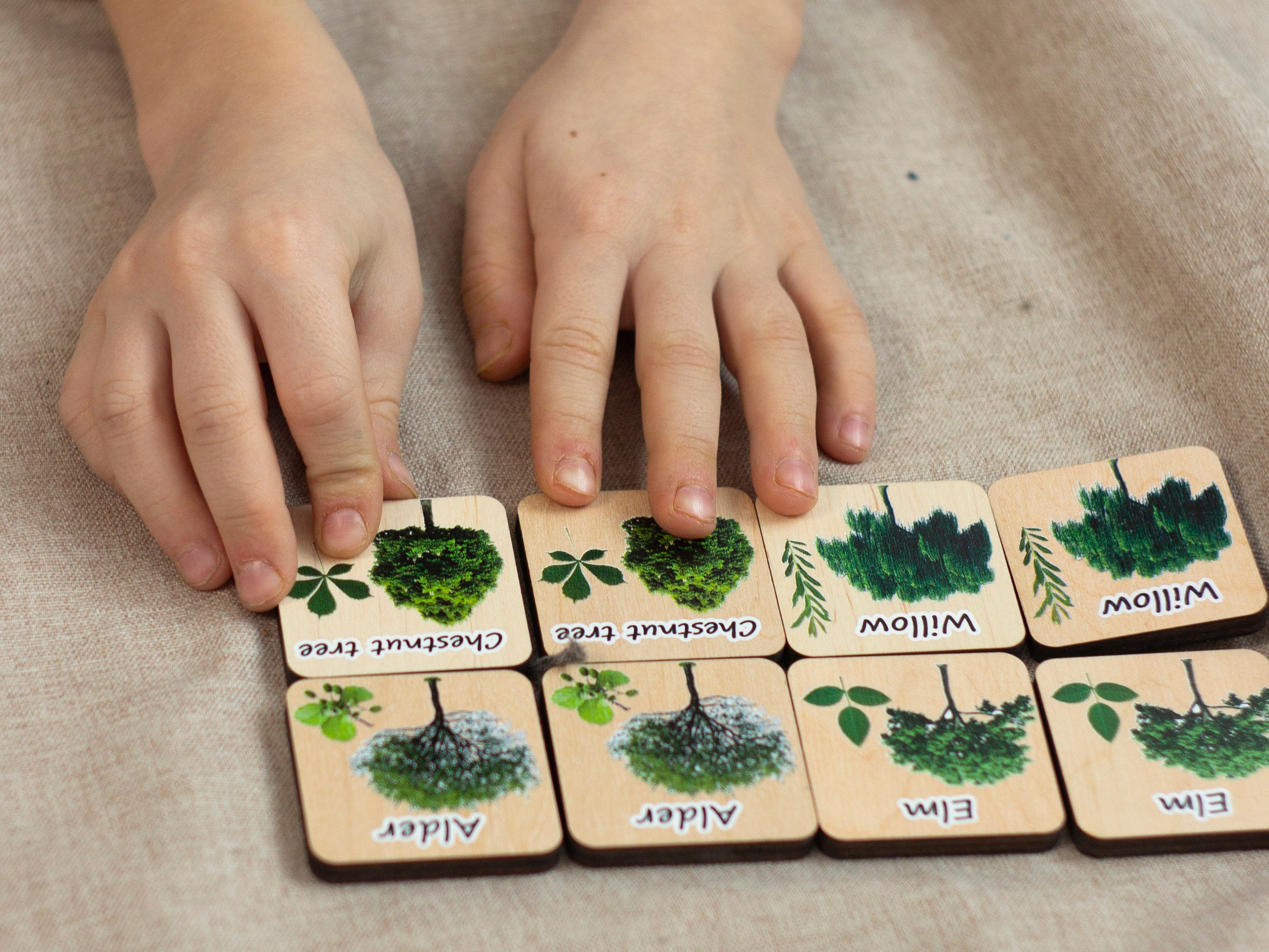 Wooden Memory Game Nature Trees Matching Cards Wood | Etsy