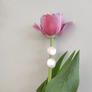 Op de afbeelding: Een roze tulp met groene bladeren en twee zilveren ronde oorbellen die aan de stengel zijn bevestigd.