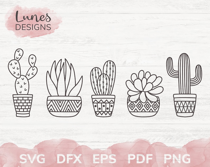 Download Cactus svg Succulent svg files for cricut Boho svg Cactus ...