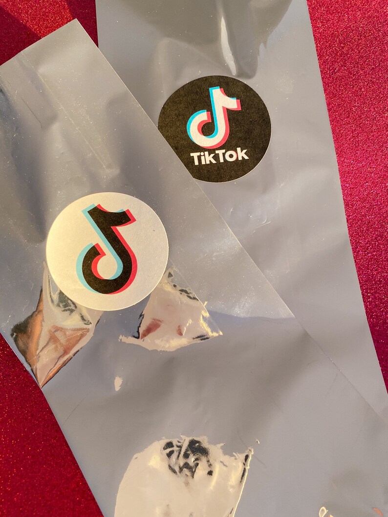 Tiktok Metallic Bag Tiktok Party Favor Tik Tok Goodie Bag Etsy