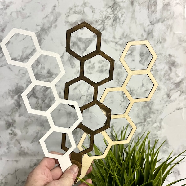 Honeycomb style hexagon plant trellis - Pick out of 3 colors! Perfect gift for plant lover to accessorize! Minimalist white & stained option