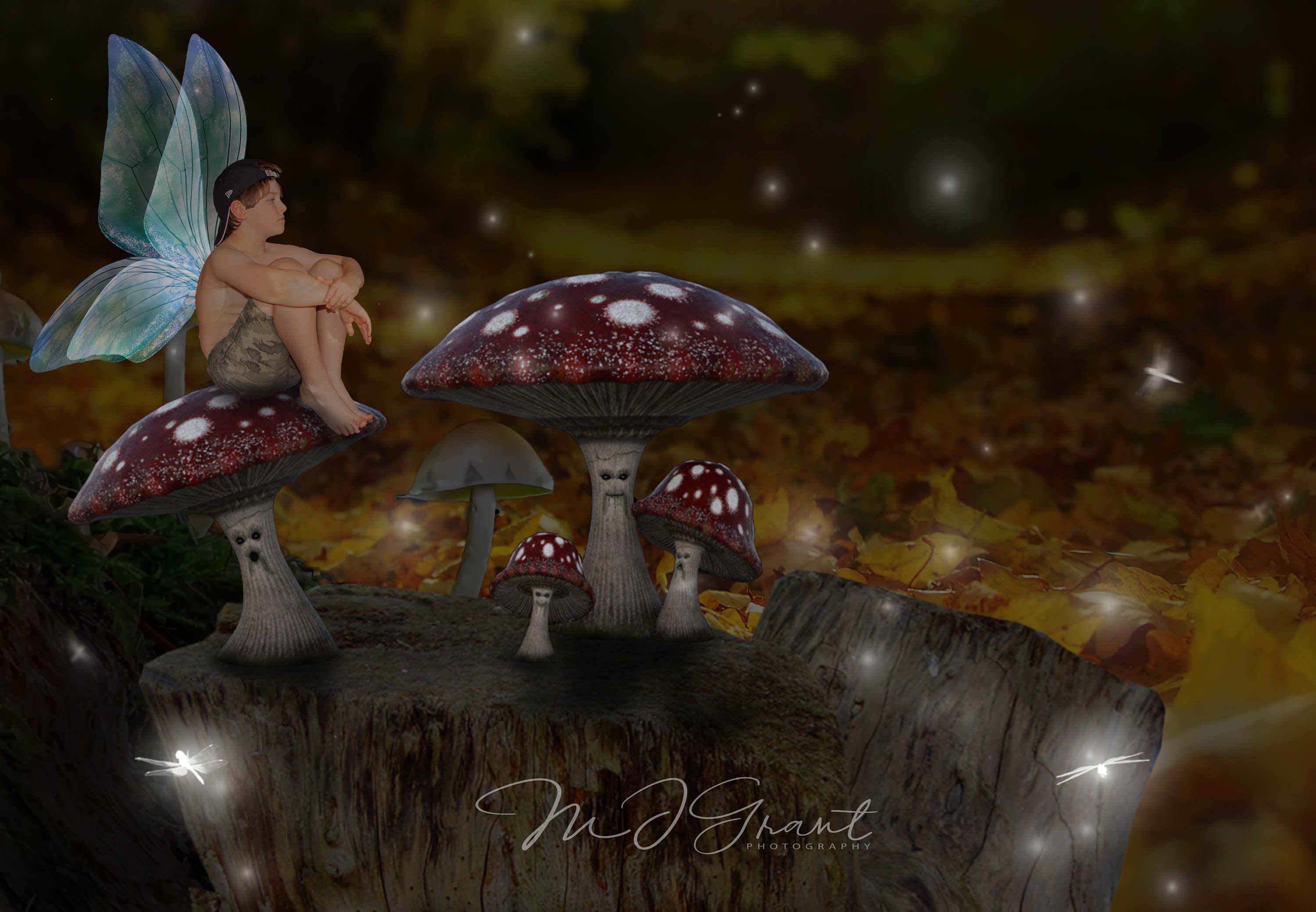 Fairytale Digital Background Fantasy Toadstool Bridge Digital Backdrop Nature Fairytale Digital Background Fantasy Toadstool Bridge Digital Backdrop Nature
