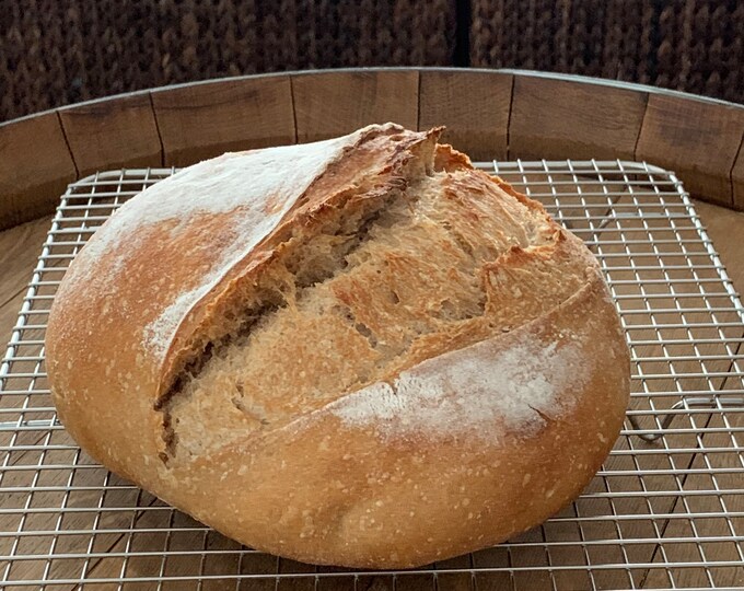 Sourdough Starter Kit / San Francisco Dried Wild Sourdough Bread