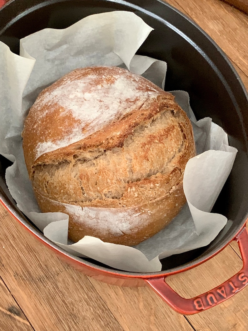 Organic San Francisco Sourdough Starter Kit: Wild Culture, Probiotic Yeast (.4 oz) image 7
