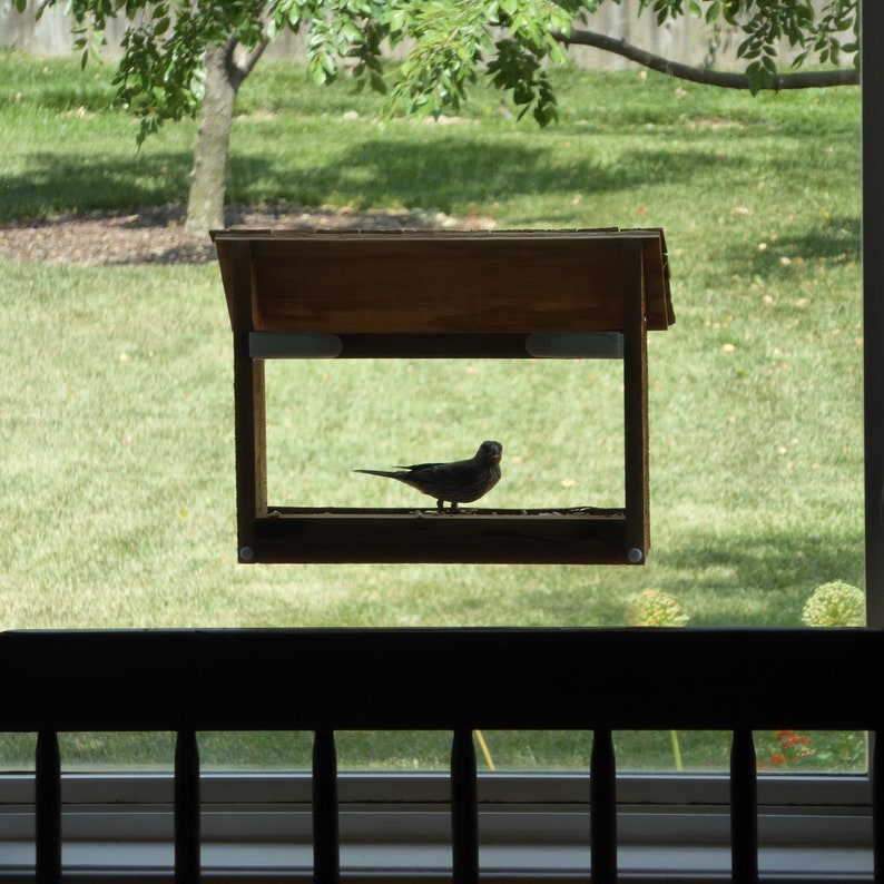 K&ouml;nnte beinhalten: Ein h&ouml;lzernes Vogelhaus mit einem Satteldach, das vor einem Fenster aufgeh&auml;ngt ist. Ein kleiner, dunkler Vogel sitzt im Inneren des Futterh&auml;uschens und blickt den Betrachter an. Der Hintergrund zeigt eine gr&uuml;ne Wiese und einen Baum.