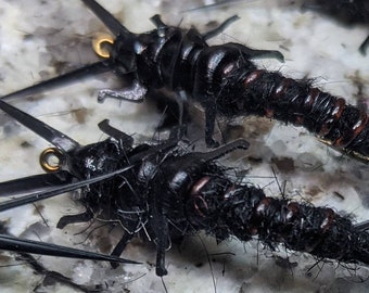 2ea Black Stonefly Nymphs