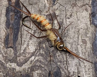 2ea Natural Stonefly Nymphs