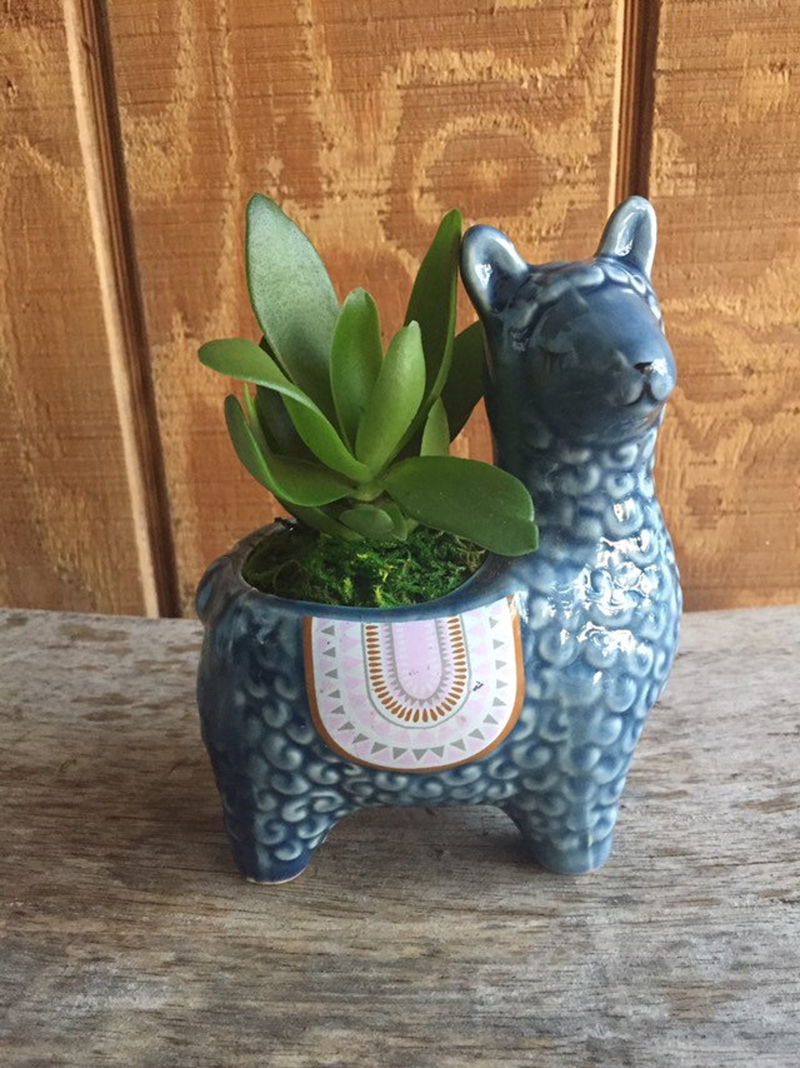 Cute Animal llama Planter pot with Succulent soil moss and Etsy