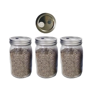 Rye Berry Mushroom Substrate Jars - Made-to-order