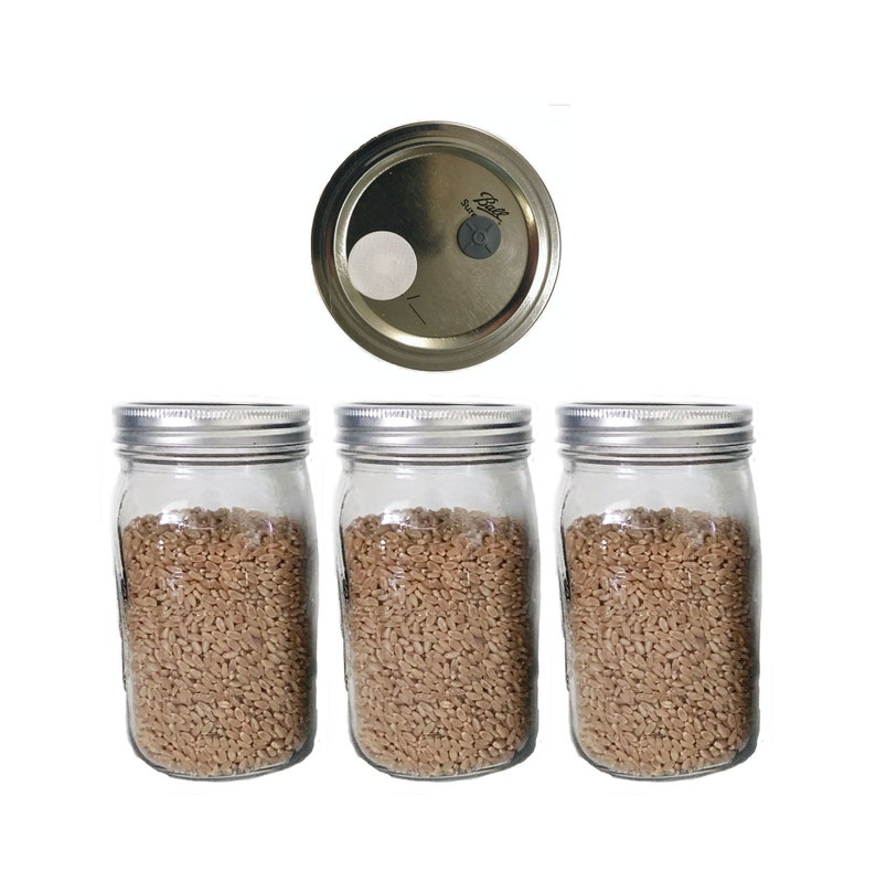 Wheat Grain Spawn Substrate Jars 3 X 1 Lb. Madetoorder Etsy