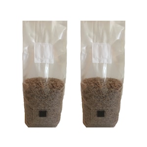 Rye Grain Mushroom Spawn Bag - Organic  2 lb