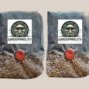 Mini All-In-One Mushroom Grow Bags (2 Pack)