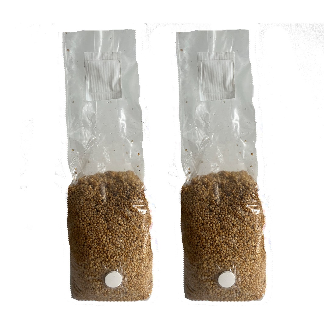Millet Mushroom Spawn Substrate Bags Madetoorder Etsy