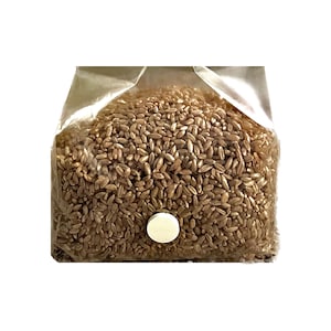 Rye Grain Mushroom Spawn Bags 3 lb with Injection Port and .22 Micron Gas Exchange Filter | Fully Sterile and Ready To Use | Shroomabilty