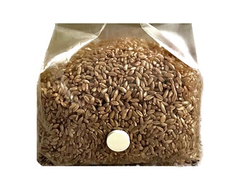 Organic Rye Grain Mushroom Spawn Bag: 3 lb, with Injection Port & Filter